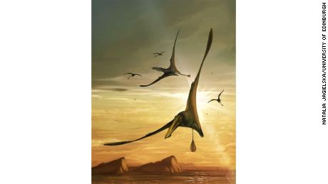Ilustración que representa a un pterosaurio, que tenía una envergadura de más de 2,5 metros (8,2 pies). 