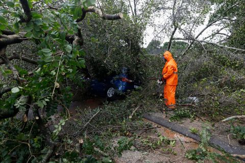 Un trabajador municipal usa una sierra para cortar las ramas de un árbol que cayó sobre un automóvil en Bentown, Sudáfrica, el martes 12 de abril.