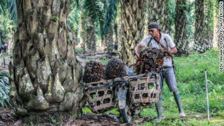 Un trabajador lleva frutas frescas de palma en su motocicleta en una granja de aceite de palma en Dilisirdang, Sumatra del Norte, Indonesia, 15 de marzo de 2022.