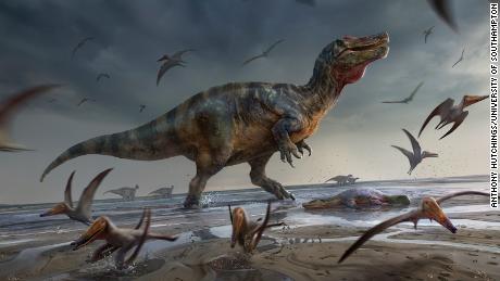 Questa illustrazione mostra il temibile Spinosaurus dell'Isola di Wight mentre prendeva vita.