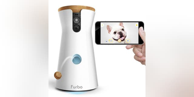 Cámara para perros Forbo.  La última cámara para mascotas de Furbo te ofrece vistas de 360 ​​grados.  En este podcast, obtuve información privilegiada sobre siete funciones nuevas y emocionantes de iOS 16 y trucos de fotografía de acción. 