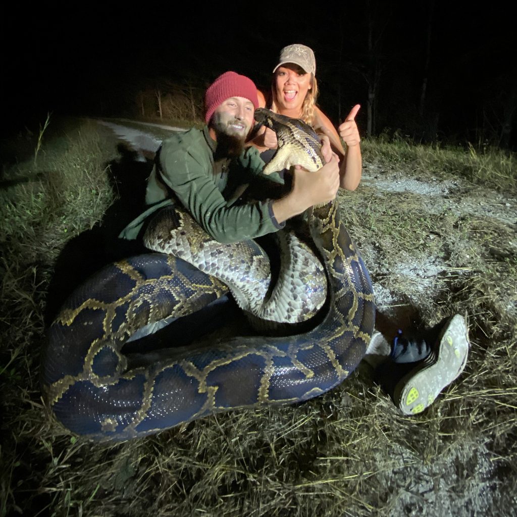 Pavlidis es uno de los 50 cazadores de serpientes profesionales contratados por el Distrito de Administración del Agua del Sur de Florida.
