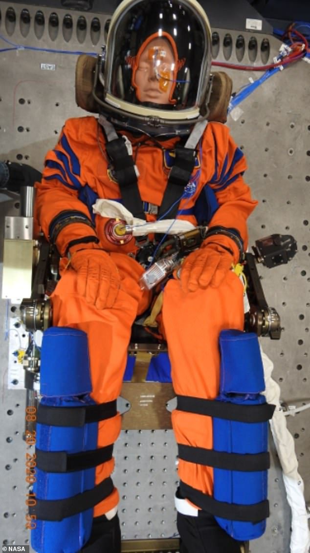 Los ingenieros de la NASA utilizan un modelo adecuado, conocido como 'Commander Monekin Campus', para realizar la prueba de vibración en el Centro Espacial Kennedy.  Volará a bordo de la nave espacial Orion