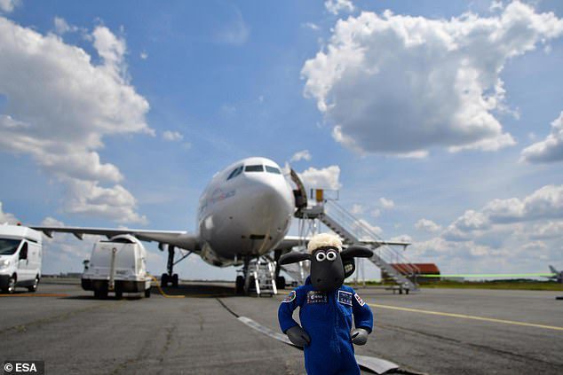 Shaun the Sheep también ha realizado un vuelo a bordo de un Airbus Zero G 'A310, durante uno de sus vuelos equivalentes que recrea condiciones de 'ingravidez' para aquellos con experiencia en el espacio.