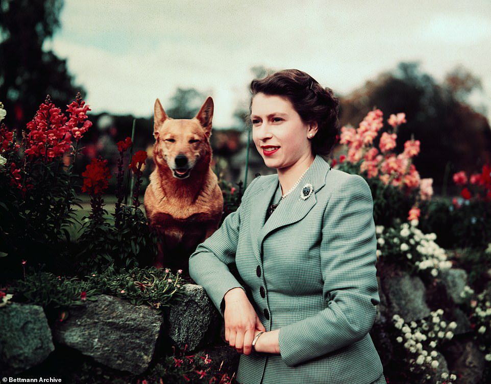 Hace solo unas semanas, se vio a la Reina paseando a sus perros en los jardines, algo que ha estado haciendo durante décadas.