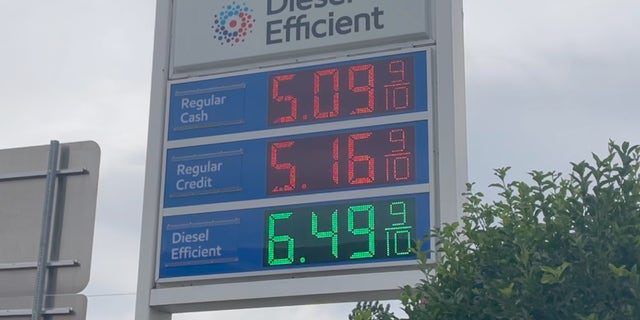 Precios de las gasolineras de Nueva Jersey (Megan Myers / Fox News Digital)