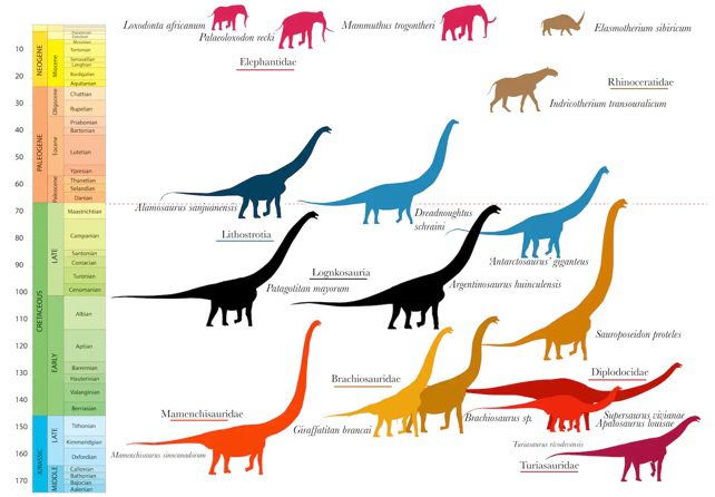Dinosaurios y mamíferos gigantes a lo largo de la línea de tiempo
